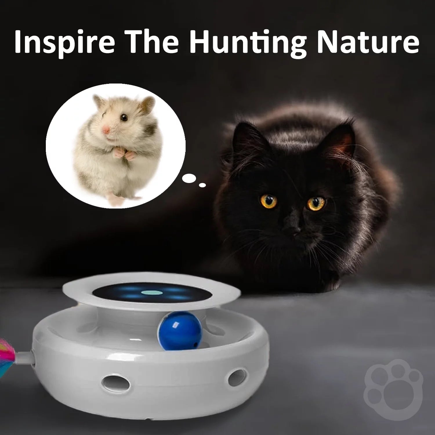 2 - in - 1 Interactive Cat Toy with LED Light & Dual Power Supply - Pixel World Store