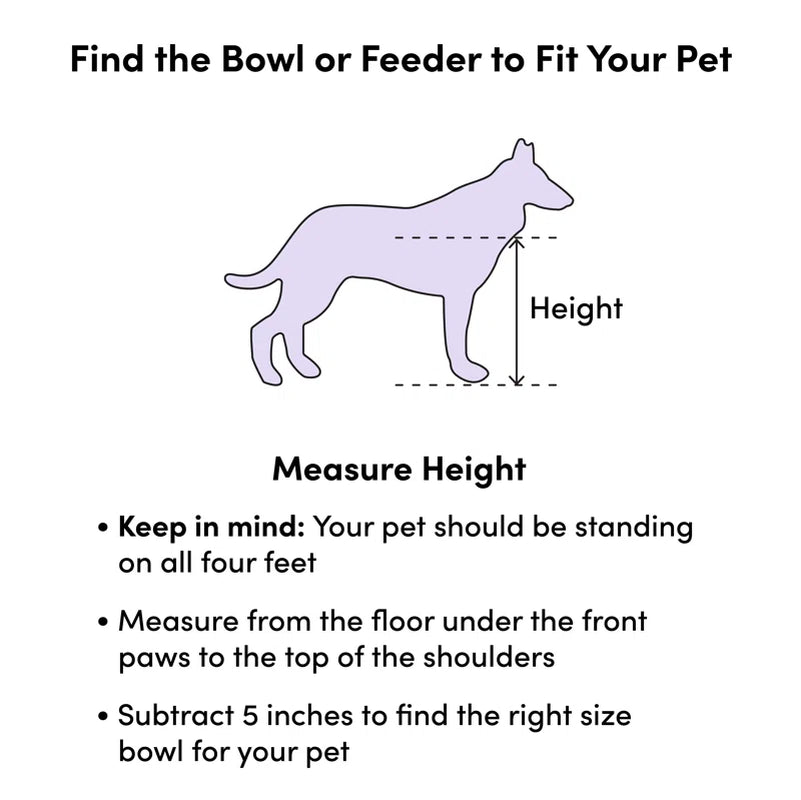 Automatic Pet Feeder