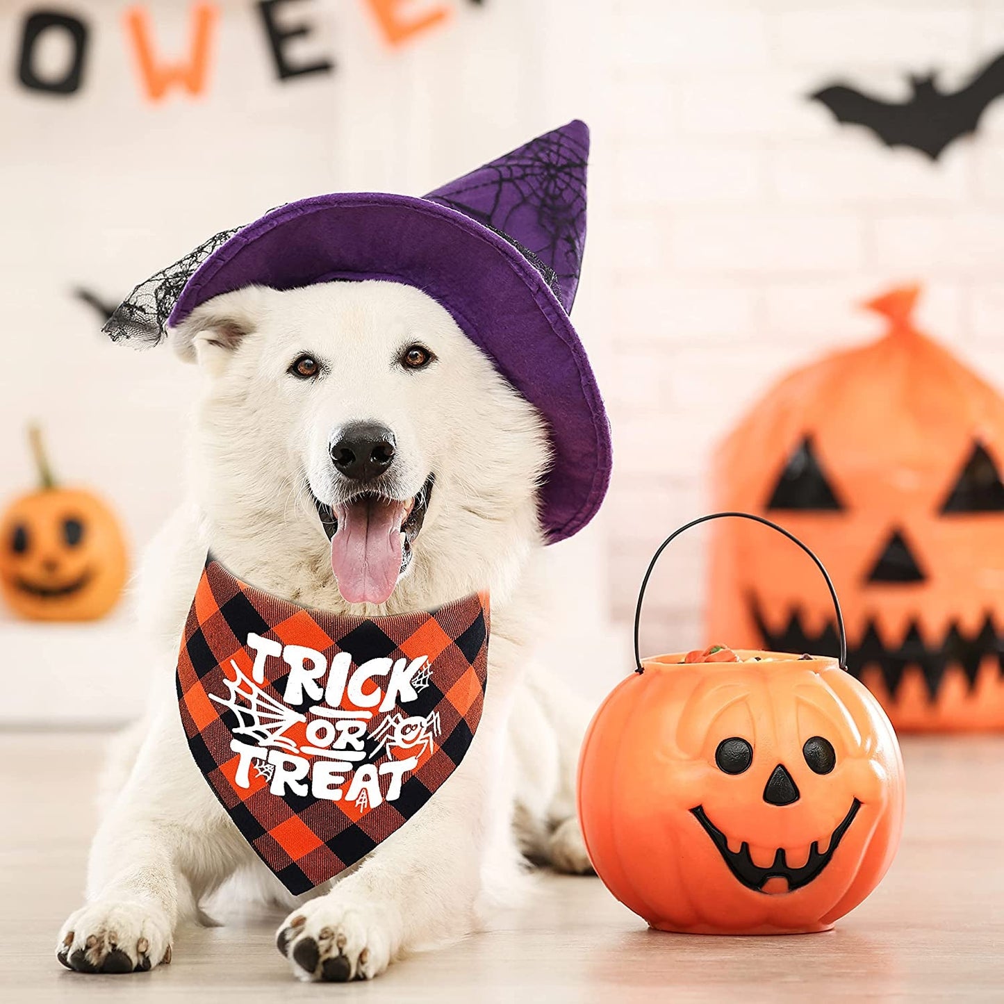 Cranberrypet Halloween Bandanas for Dogs (2 - Pack) - Pixel World Store