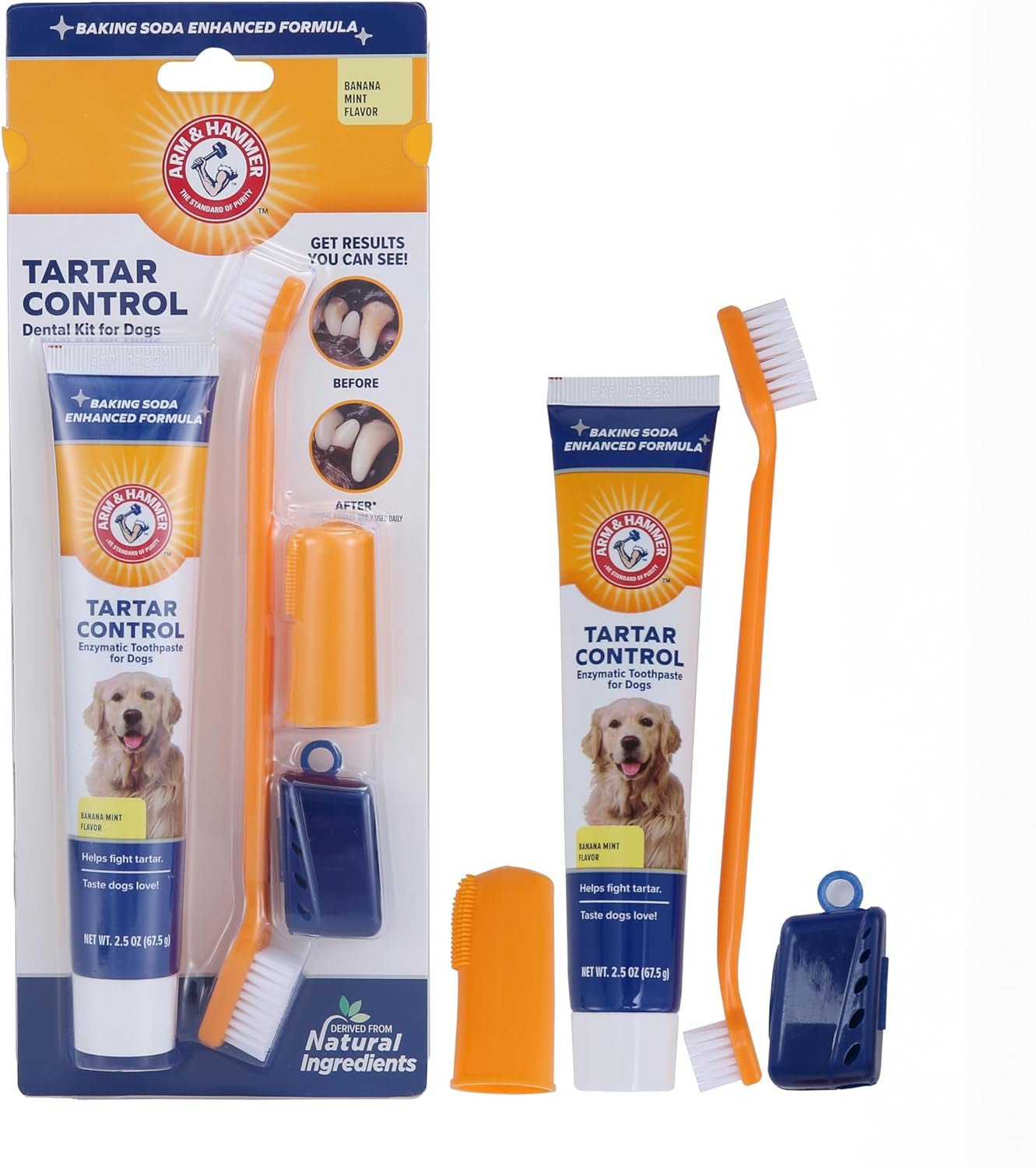 Dog Dental Kit with Toothpaste, Toothbrush & Fingerbrush - Pixel World Store