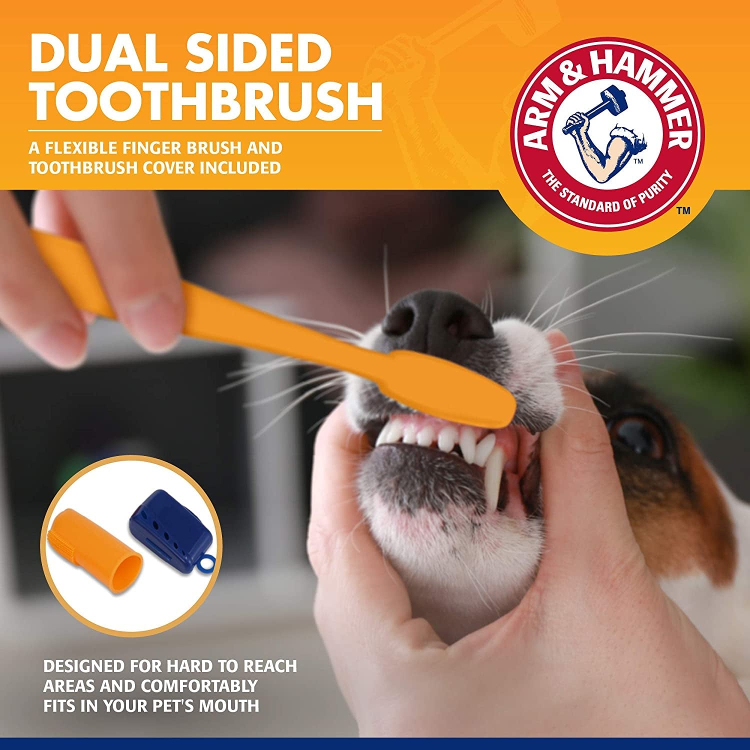 Dog Dental Kit with Toothpaste, Toothbrush & Fingerbrush - Pixel World Store